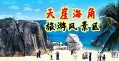 中国男女大鸡巴操小骚逼的视频免费观看海南三亚-天崖海角旅游风景区